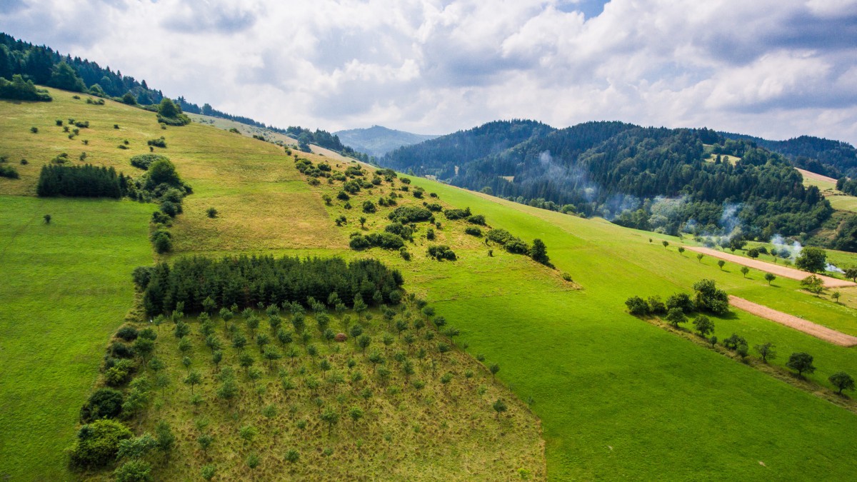 让你体验急速理赔，放心理赔