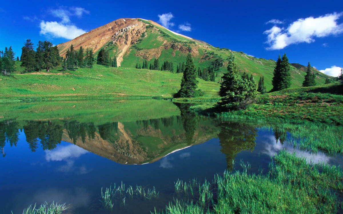 车险买这5个险种足够了，多了浪费、少了吃亏！