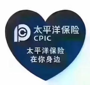 新手司机买车险最全指南|刚拿驾照第一台车,这样投保,少花一半冤枉钱